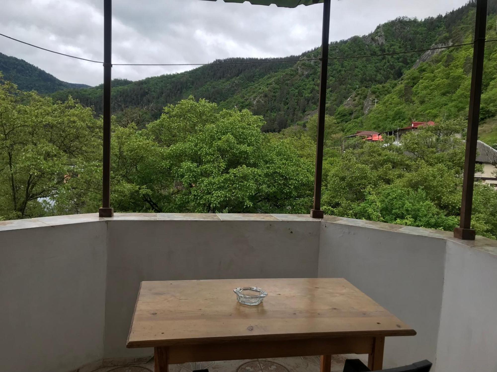 Zviad Guest House Borjomi Cameră foto
